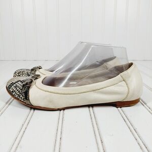 AGL Attilio Giusti Leombruni Taupe Snakeskin Buckle Ballet Flats D254